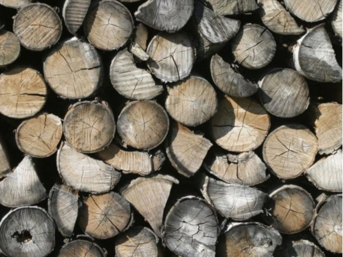 stacked logs